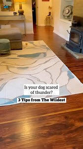 5.7K views · 133 reactions | If you find yourself googling random things about how to help your pet live their best life we highly recommend you sign up for more free pet advice! #dog #pets #petparent | Mykomushroom | Facebook