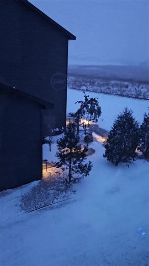 my rich neighbors back yard is so winter coded. im jealous