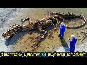 கேமராவில் பதிவான 34 கடற்கரை மர்மங்கள்! | Mysterious Sea Creatures Caught On Camera | Tamil Ultimate