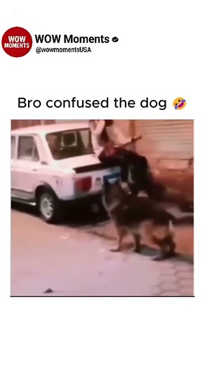 Bro confused the dog 🤣