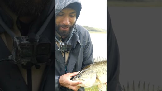 I caught my biggest bass ever! 🎣