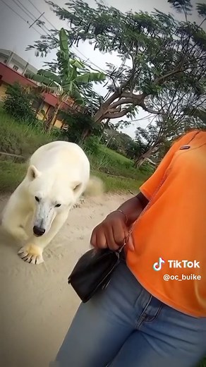 Sweet Baby Sounds: Creating Joy for Val