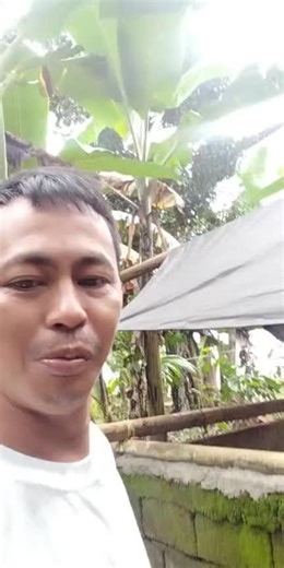 DATU GARONGGONG (@datu_garonggong4)’s videos with suara asli - DATU GARONGGONG