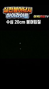 수심20cm 붕어입질