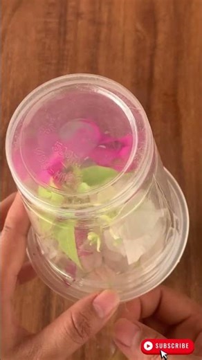 Just Carrot! Bougainvillea Cuttings Will Root and Sprout Instantly#shorts