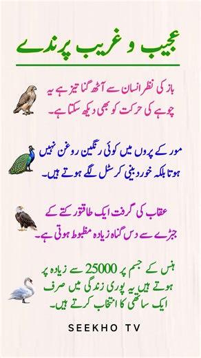 ​4 Mind-Blowing Bird Facts You Never Knew!