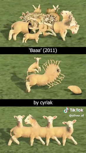 Ovine Geometry: A Fascinating Art Experiment by Cyriak