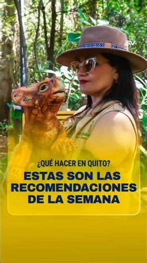 What to do in Quito? These are the recommendations for the week | Ecuavisa