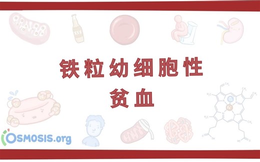 【预习】铁粒幼细胞性贫血 Sideroblastic Anemia（中英字幕）