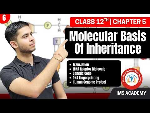 Class 12 Biology | Chapter 5 – Molecular Basis of Inheritance