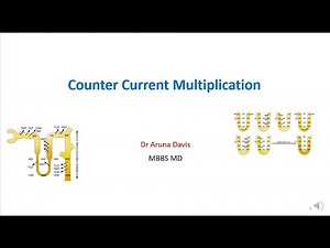 Counter Current Multiplication