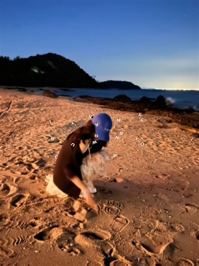 BTS's Swimming Pool Moments