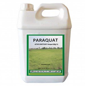 [Hot Item] Herbicide Weed Killer Paraquat 20%SL 42%Tk