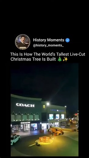 History Moments on Instagram: "A tree this massive is not “decorated”. It is engineered into place like a piece of architecture 🎄⚙️ To create the world’s tallest live cut Christmas tree, teams start months in advance by scouting forests for a perfectly symmetrical giant, usually a white fir or red fir. A tree of this size is typically 95 to 125 years old and weighs between 17,000 and 20,000 pounds before decorations. Once selected, crews use industrial cranes to cut, cradle, and lower the tree