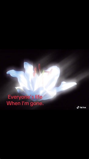 #livephoto #slideshowideas #km3 #sadthought | sad slideshows ideas