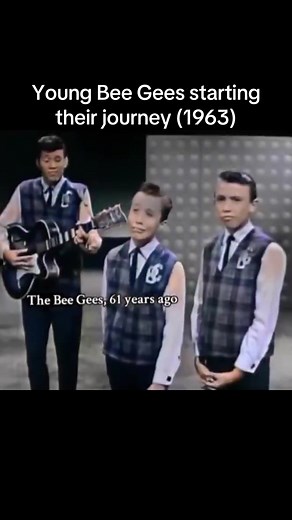 Young Bee Gees Journey in 1963: Their Rise to Fame