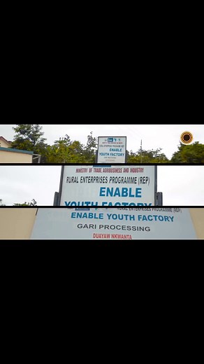 4.6K views · 118 reactions | Traditional methods meet cutting-edge technology in gari processing  | The Ghanaian Farmer | Facebook