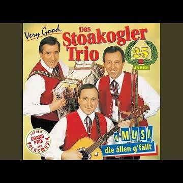 Stoanifest-Polka (Instrumental)