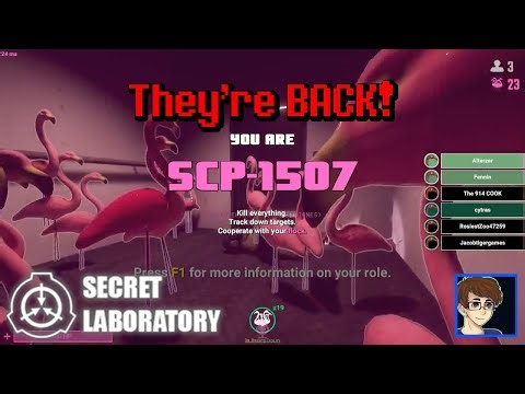 Flamingos: Rise of the Flock! [SCP: Secret Laboratory]