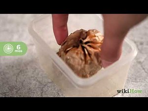 How to Make Black Garlic