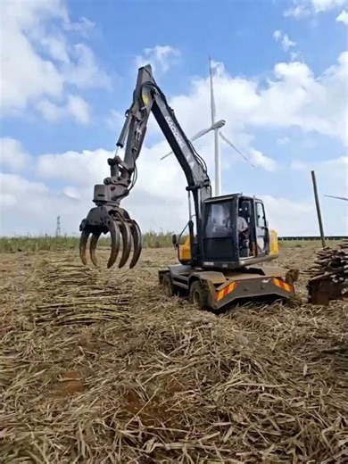 #sugarcane #harvester #loader #farming #tebu #sugar #cane #tractor #truck #dumptruck #excavator