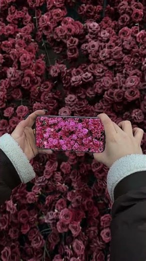 The second-generation Red Maple series combined with the Linglong screen