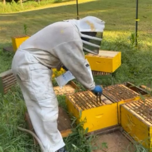 Georgia Master Beekeeper, Marcus Pollard, AKA Bee Pimpn, will teach you how to successfully take your bees into winter at the GBA Conference. | Georgia Beekeepers Association