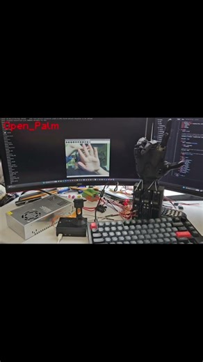 Bionic Hand Reads My Gestures