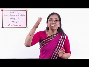 26 Class 9 Science Unit 3 Mushroom