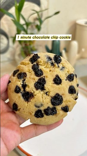 1 minute viral chocolate chip cookie 🍪 #lhamovlogs #easycookierecipe #1minutecookie #microwave