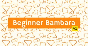 Online Bambara/Dioula Course — An ka taa