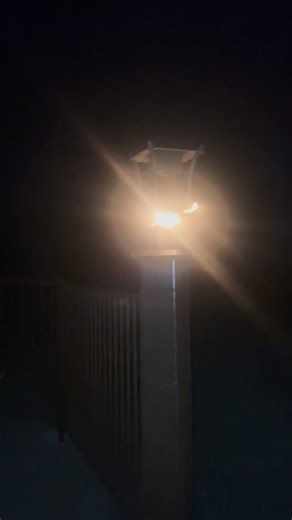 Ryan Albert on Reels