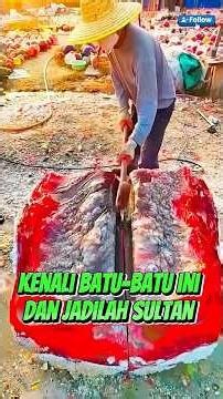 Get to Know These Stones and Become a Sultan #uniquefacts #science #funscience