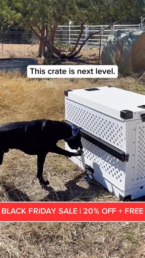 BLACK FRIDAY SALE is here! Save 20% Sitewide with FREE Orthopedic pad & course. Escape-proof crates built for serious dogs, collapsible or reinforced for anxious pups. ✅ 100% lifetime guarantee ✅ Military-grade and Durable lightweight aluminum ✅ Helps with separation anxiety ✅ Free shipping ✅ Easily transportable | Impact Dog Crates