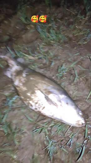 Traditional Fishing Techniques in Myanmar