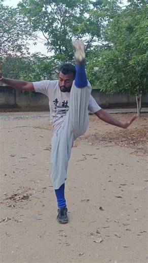 Strong Kicks Start Here | Front Leg Raise 🔥#KungFu #Shorts #ViralShorts #Fitness #Training