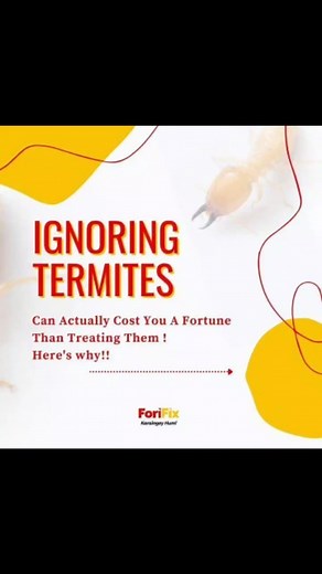🚧📣⚠️📣🚧 #Termites aka #Deemak are far more dangerous than fire or any other pests you can have around! Read more why DIY totkas and all those toxic chemicals and gas tablets commonly used DO NOT WORK on them unless you follow a full #TermiteTreatment protocols inside out! #ForiFix your #home and #workplace before they multiply in zillions and cause more damage and cost a fortune to eliminate them! 💫If you are visiting us at the #KWF by @women.festival feel free to avail some exclusive discou