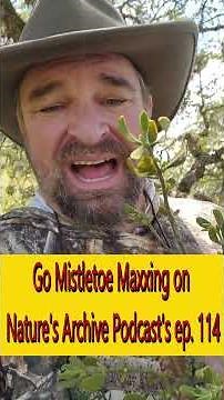 Stop Hating On Mistletoes!!! #naturelovers #naturevibes #biodiversityconservation #plants