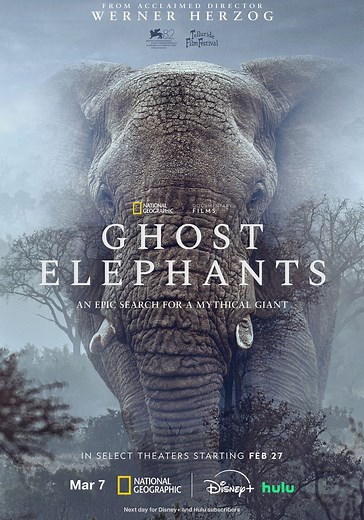 Ghost Elephants streaming: where to watch online?