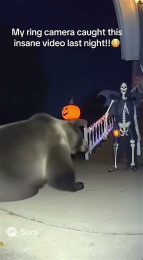 Home Camera Took this CRAZY scary video of animals 👻 #shorts #horror #ai