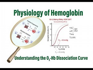 Physiology of Hemoglobin: Understanding the Oxygen-Hemoglobin Dissociation Curve