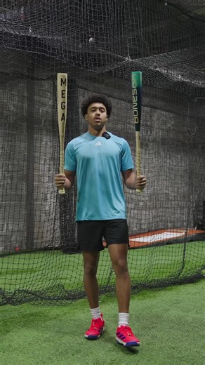 Top Reasons to Choose the Warstic Mega Bone Saver Bats