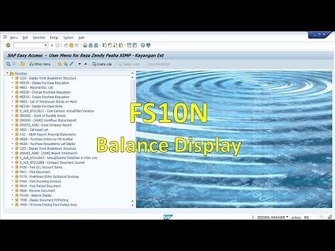 SAP FS10N Balance Display