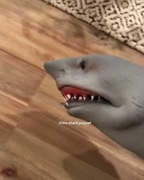 Shark Puppet tries Energy Drinks!