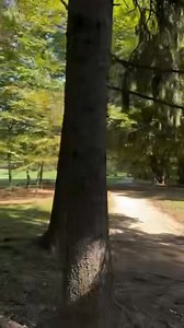 19K views · 164 reactions | Povjerenje u svemir Povjerenje u svemir...