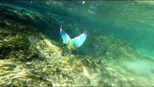 Level up 🍄 #thewanderingmermaid #rainbow #mermaid #princess #underwater #tunnel #purplehair #siren #swim #mermaidhair #mermaidtail #gopro #h2o #fish