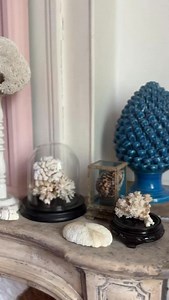 Mon deuxième cabinet de curiosité sur le thème des océans avec des coraux, des coquillages, des oursins… Sur la cheminée de la salle à manger, les enfants et les copains de mes enfants adorent les observer. Il faut dire que c’est magique ce que la nature crée 🪸🐚🪼 Cabinet de curiosité - corail - mer - sulfure - shell - coquillage | Stéphanie Zwicky