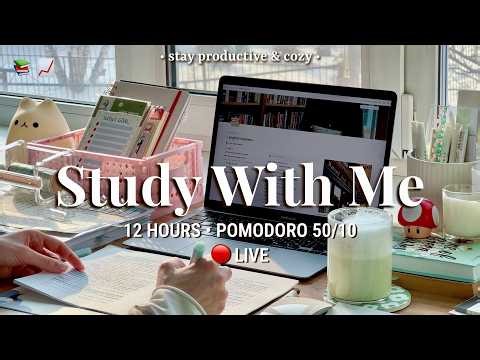 Challenge | 12 HR STUDY WITH ME • Pomodoro 50/10 | Relaxing Fireplace Sound