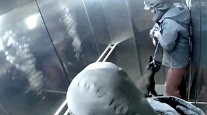 Shocking moment thug launches into brutal attack on his dog