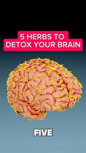 Detox Your Brain With These 5 POWERFUL Herbs #health #shorts